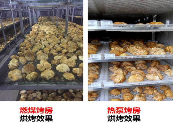 5-佰衡公司榮獲第二屆中國林業産業創新獎1846